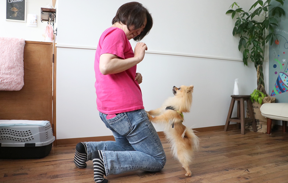 山下トレーナーと戯れる犬