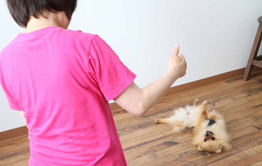 山下トレーナーと戯れる犬