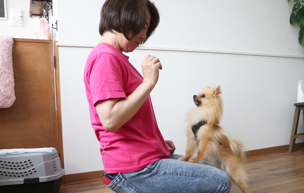 山下トレーナーと戯れる犬